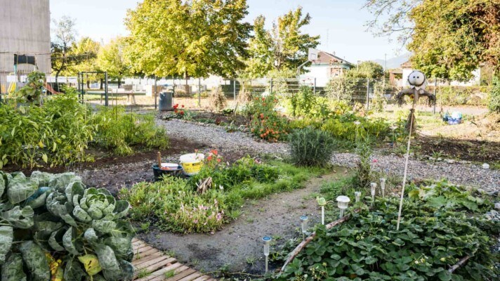 Bollwiller des jardins partagés renforcent la cohésion dun quartier