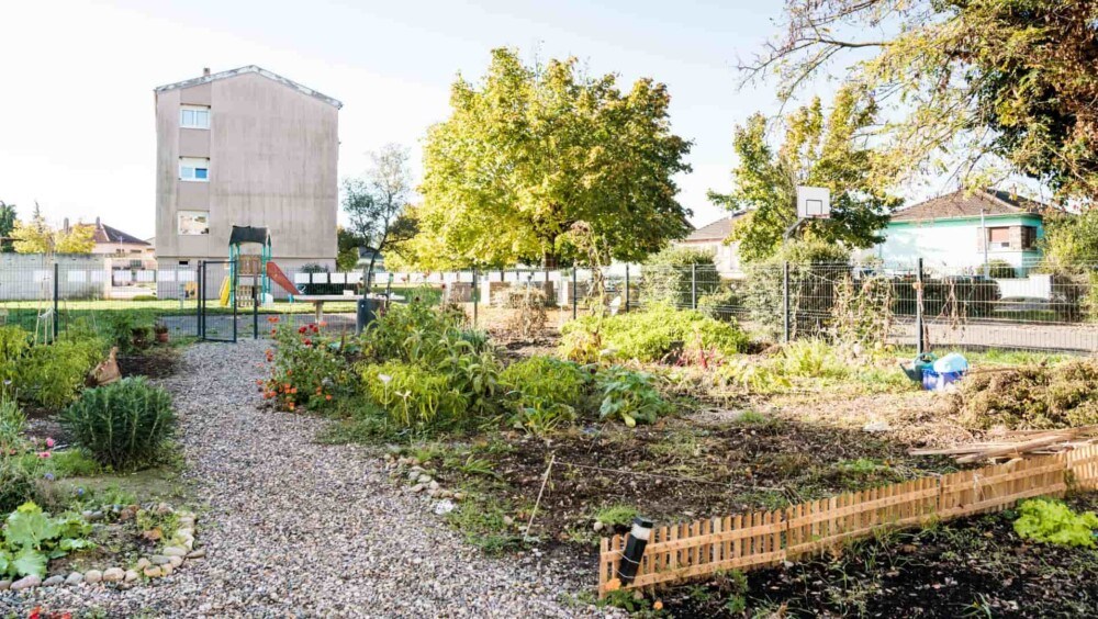 Bollwiller des jardins partagés renforcent la cohésion dun quartier