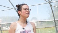 Lire l'article 'Line Schurrer, maraîchère expérimentale à Flaxlanden' | m2A et moi ! Le mag de Mulhouse Alsace Agglomération