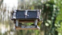 Lire l'article 'Entretien des jardins : attention aux nids' | m2A et moi ! Le mag de Mulhouse Alsace Agglomération