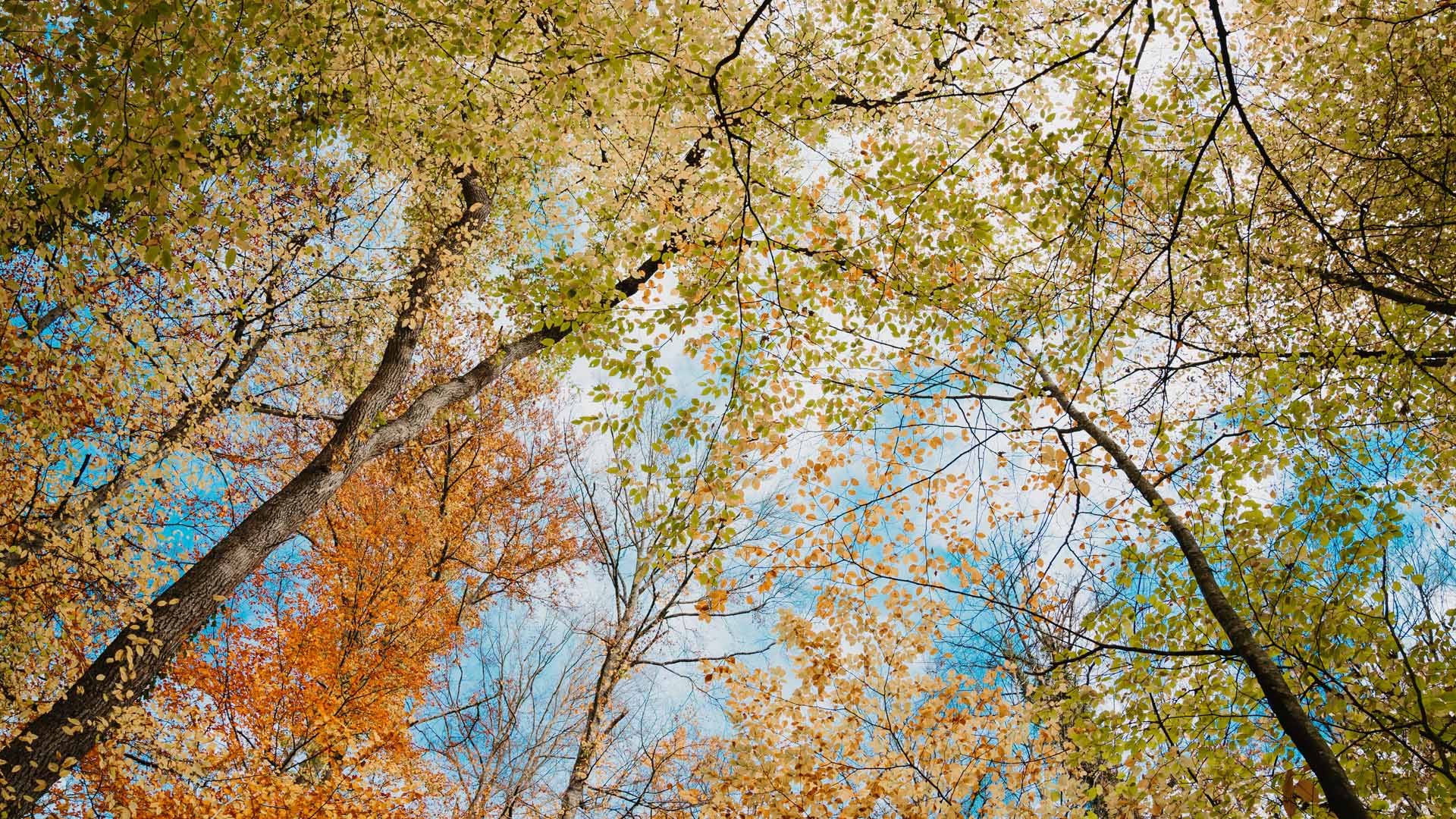 C'est beau l'agglo en automne © Marie Nussbaumer