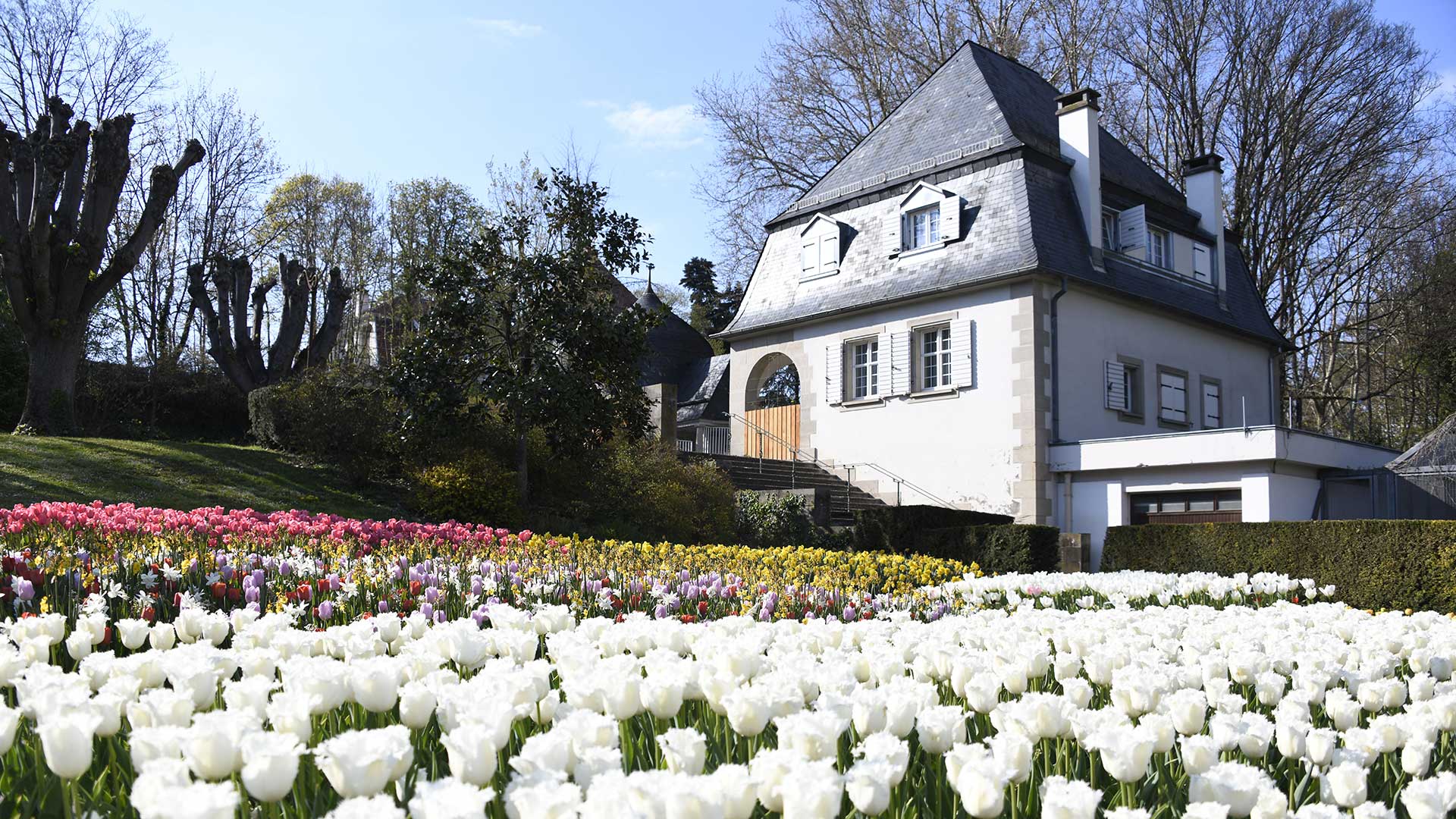 Célébrez le printemps avec le Marché aux plantes de Mulhouse, Un lieu riche en biodiversité