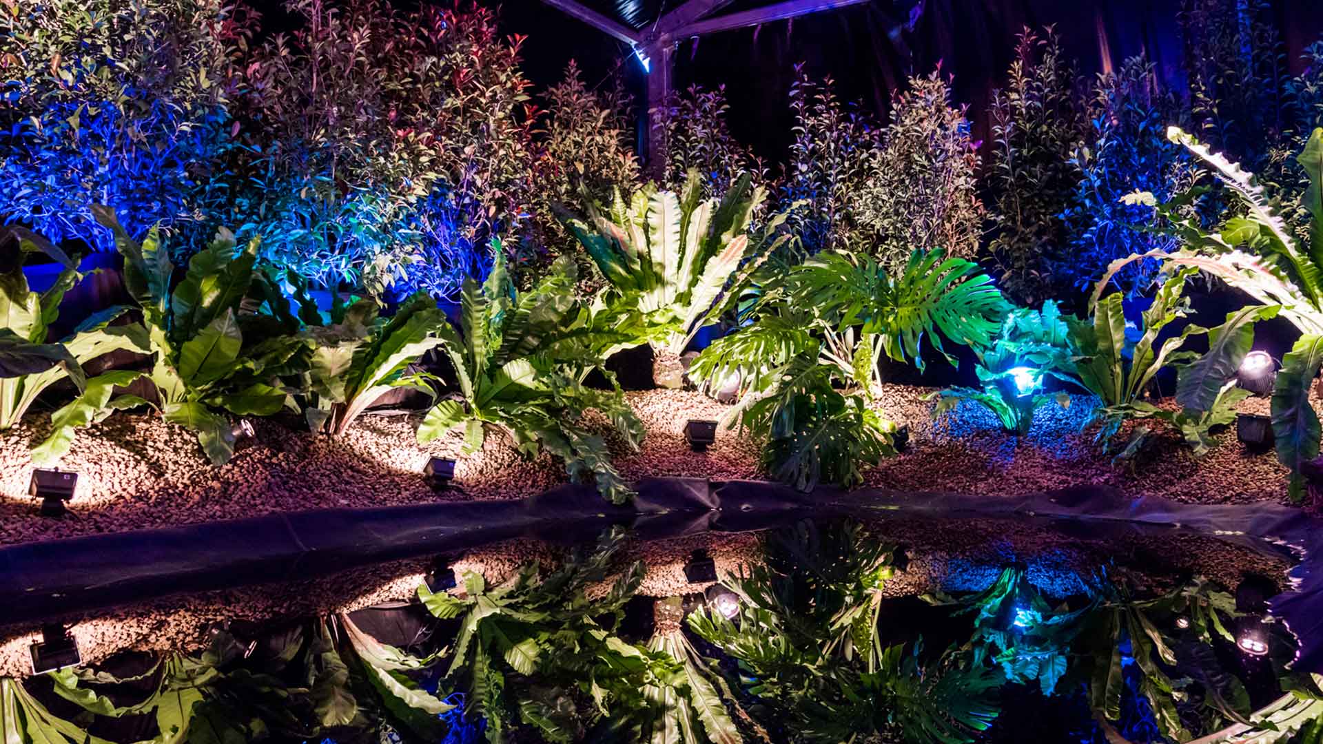 Folie Flore voyage au pays des jardins - jeux de lumière sur plantes