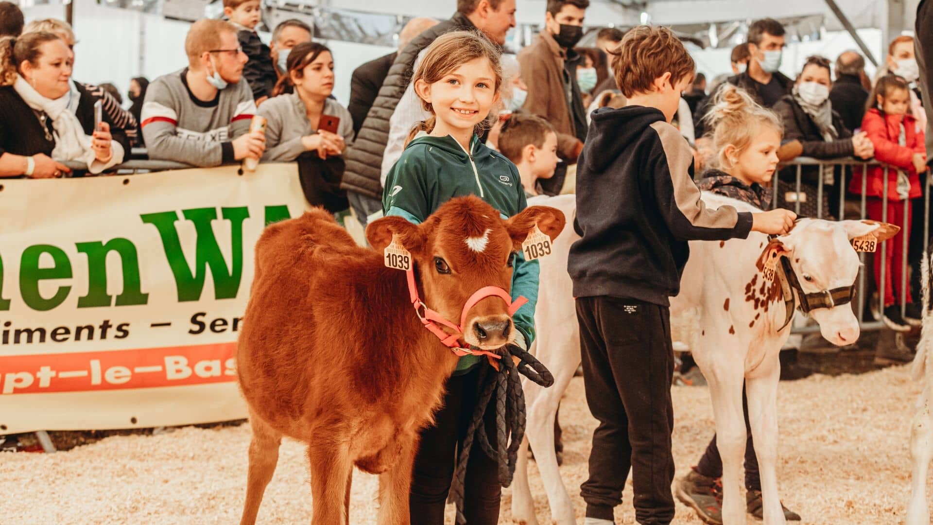 foire Simon et Jude Habsheim concours bovin