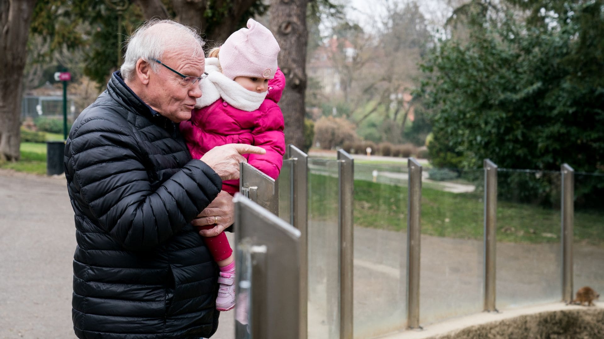 Un grand-père tient sa petite-fille dans les bras et observe l'enclos des suricates au Zoo de Mulhouse.