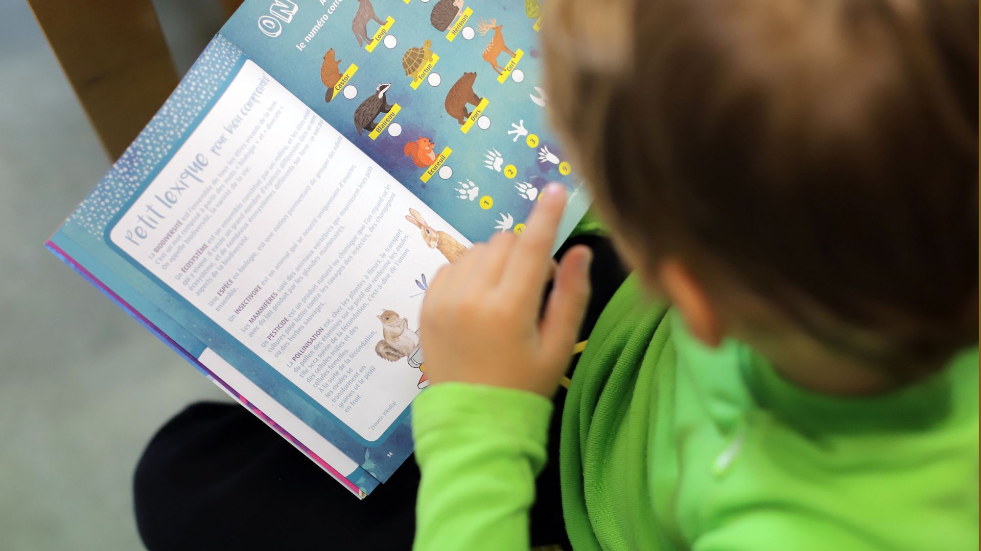 Enfant en train de lire une brochure avec des animaux et des jeux autour de l'environnement