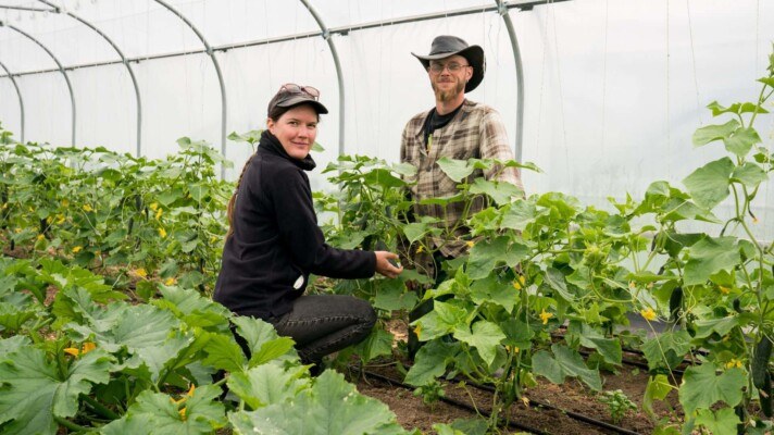 Lire l'article 'Les légumes bio du domaine de Hombourg ' | m2A le mag – Mulhouse Alsace Agglomération