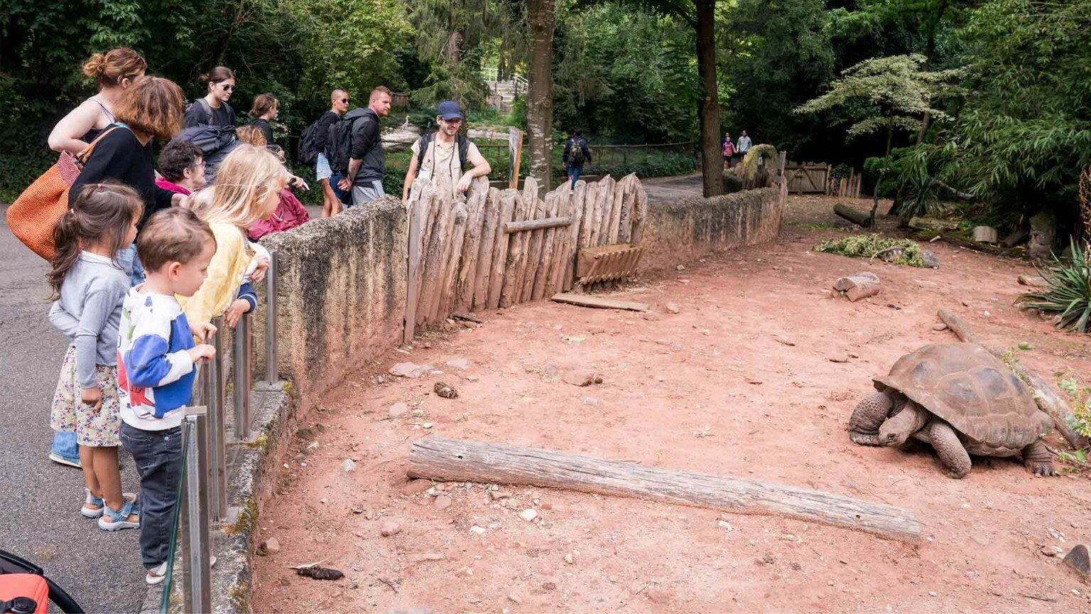 5 bonnes raisons d'aller au Parc zoologique et botanique à Mulhouse m2A le mag Mulhouse