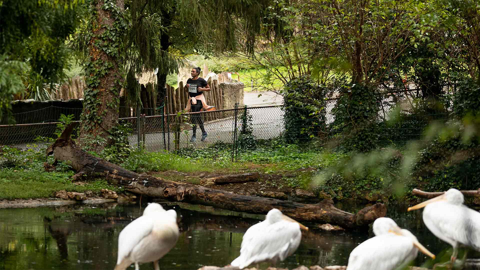 Participante Sport au zoo - Les Foulées animales au Parc zoologique et botanique de Mulhouse