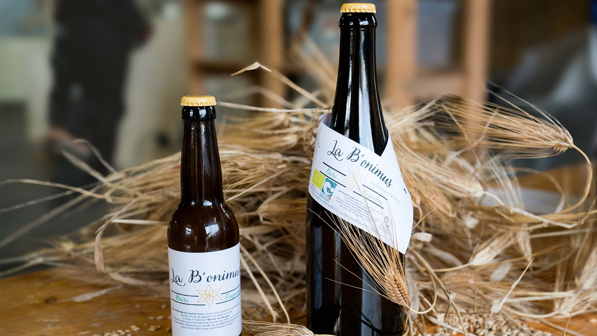 Bière artisanale, locale et bio de la ferme "La Grange à Materne" à Bantzenheim