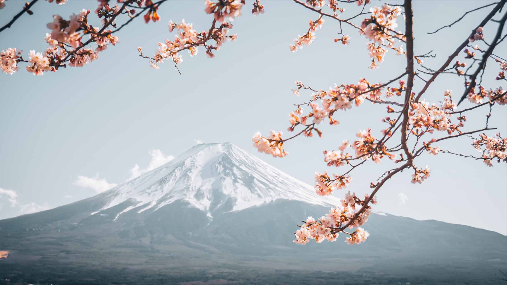 Exposition "36 vues du mont Fuji" à Illzach