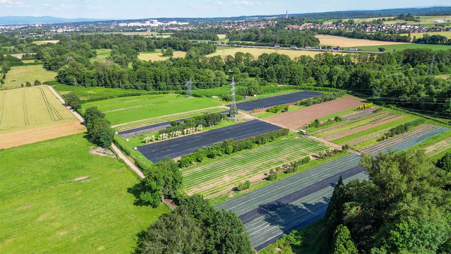 "Les Champs d'Orion" à Reiningue - Vue de drone