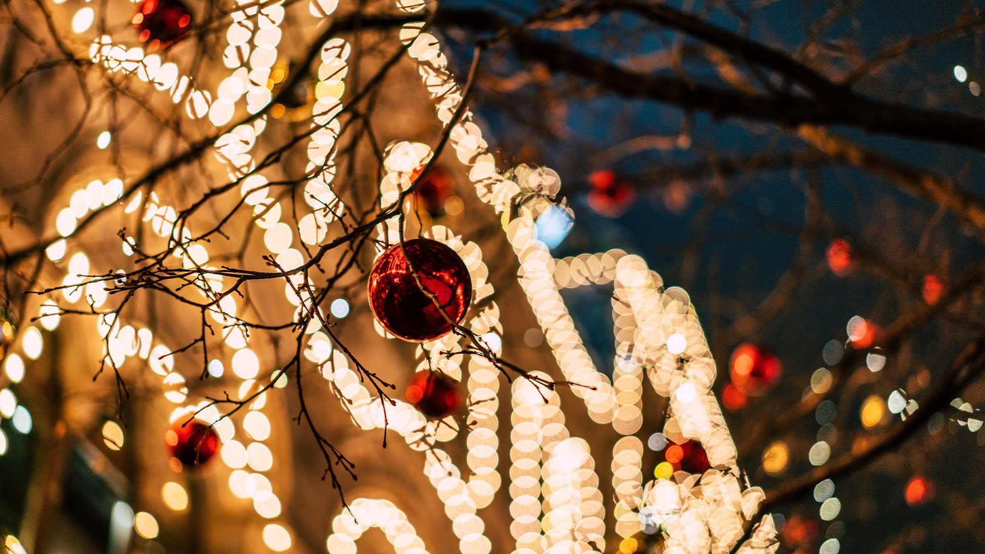 Illuminations de Noël - Marché de Noël de Mulhouse 2024