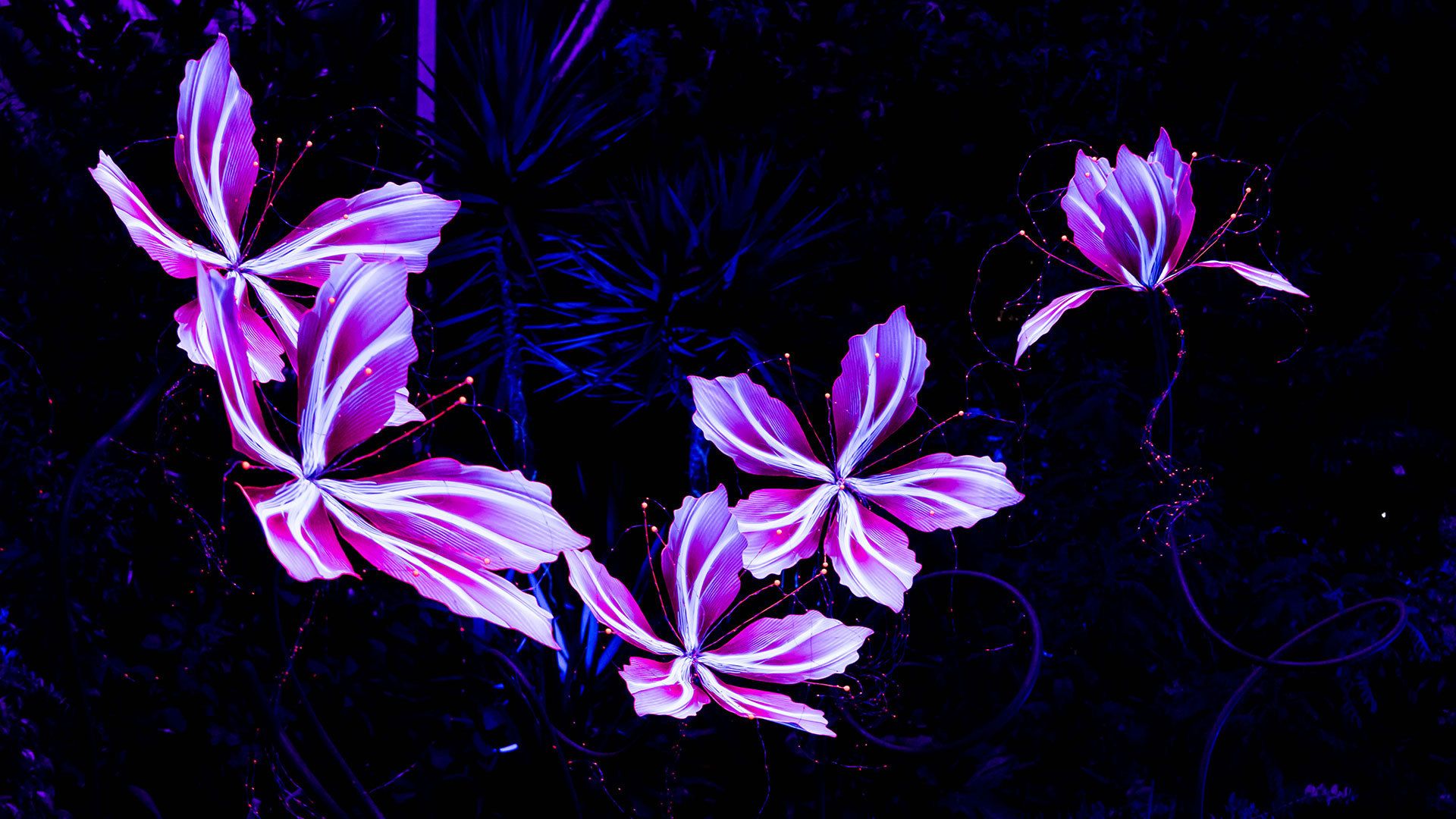 Un décor du jardin "Planète des fleurs géantes" à l'exposition Folie'Flore se tenant au sein de m2A