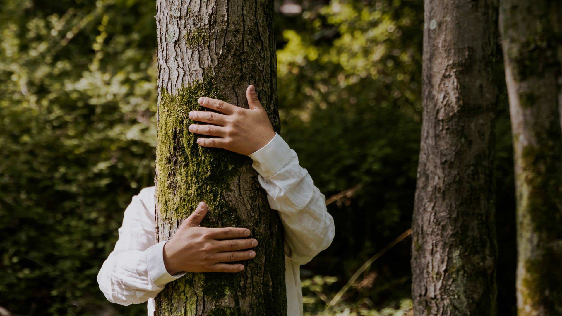 Conférence : "Écologie, pourquoi c'est si dur de changer ?"