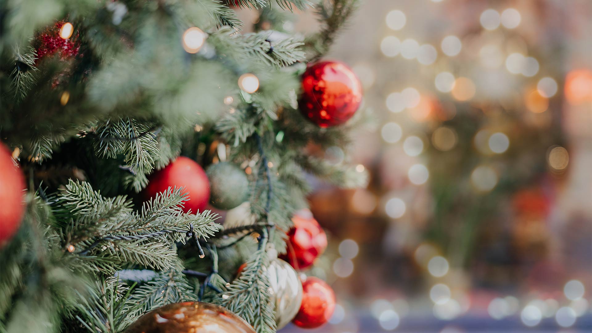 Sapin de Noël et décorations