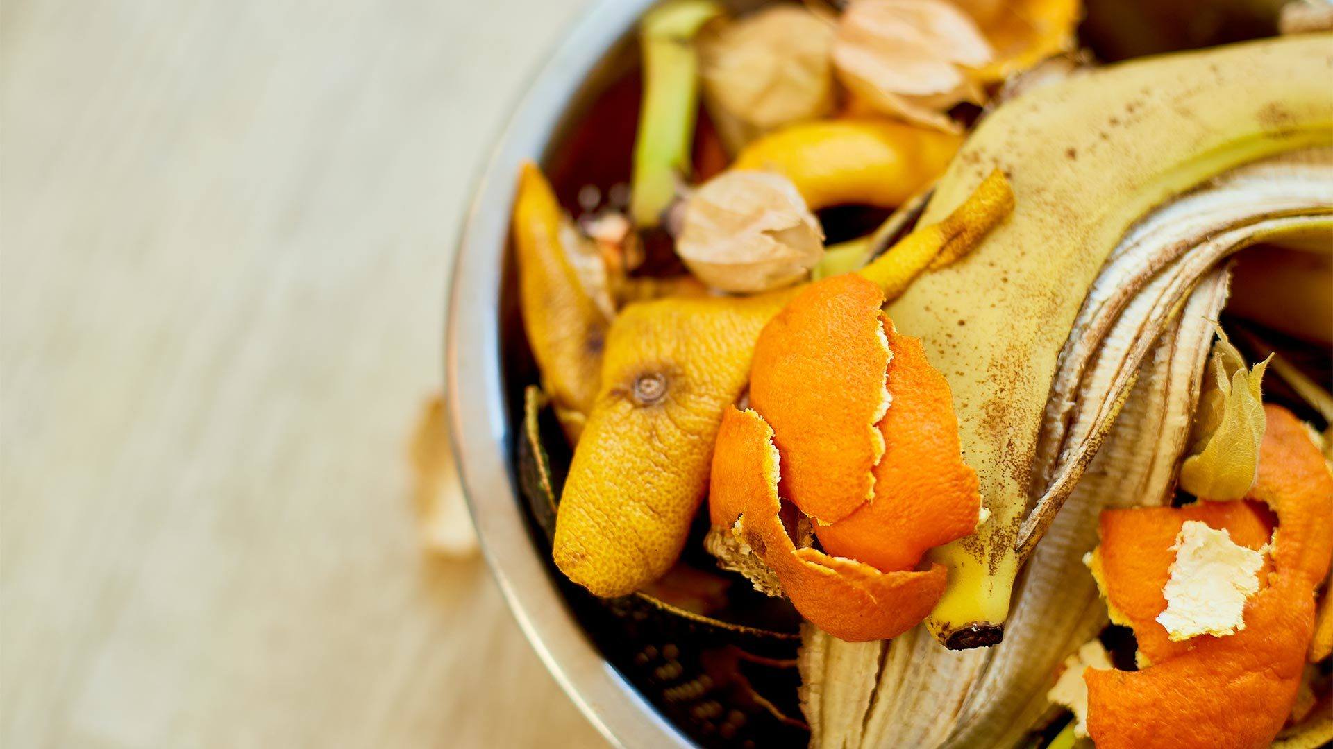 Épluchures de légumes - biodéchets