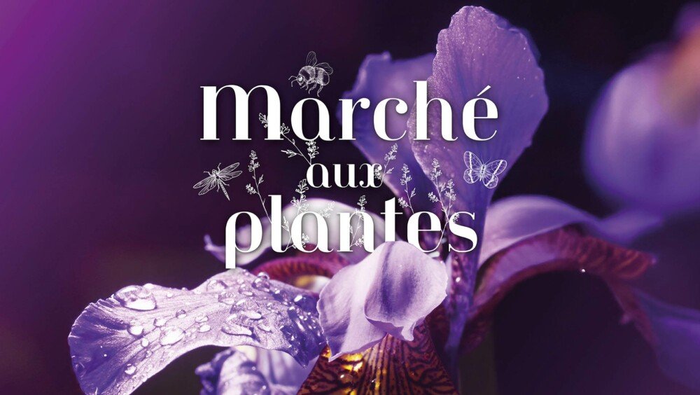 Foire de Mulhouse 2025 au Parc Expo | m2A le mag - Mulhouse Alsace