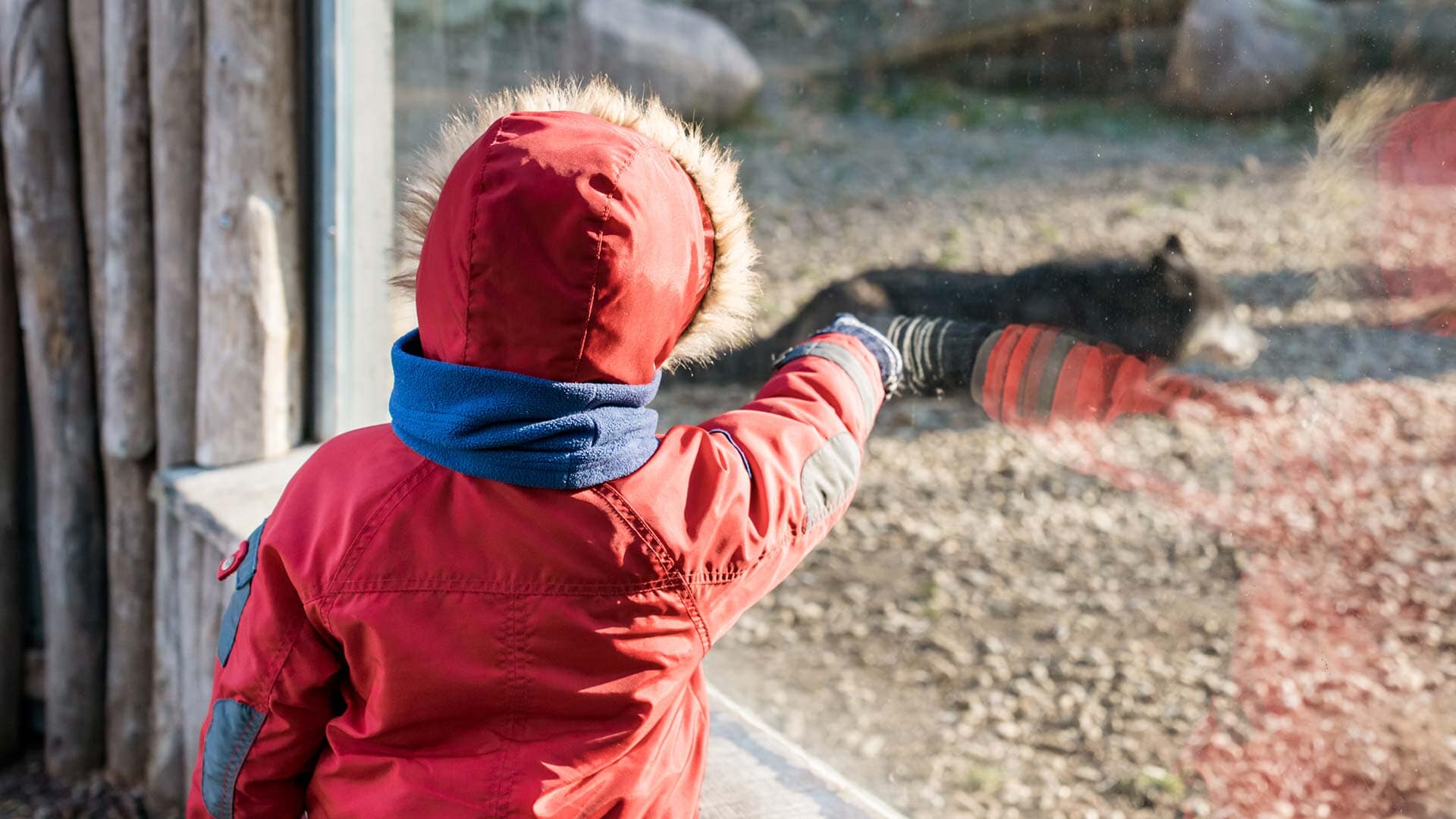 Top 5 des sorties dans l’agglo en février 2025