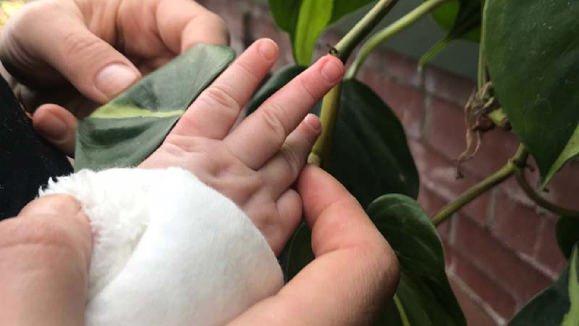 Atelier parents-enfants pour les 0-2 ans au Moulin Nature à Lutterbach