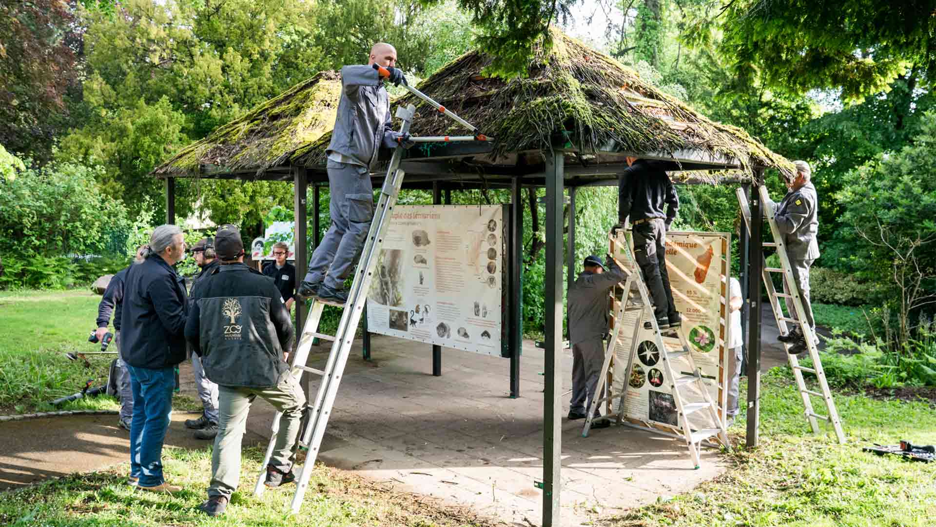 Chantier partagé au Parc zoologique et botanique