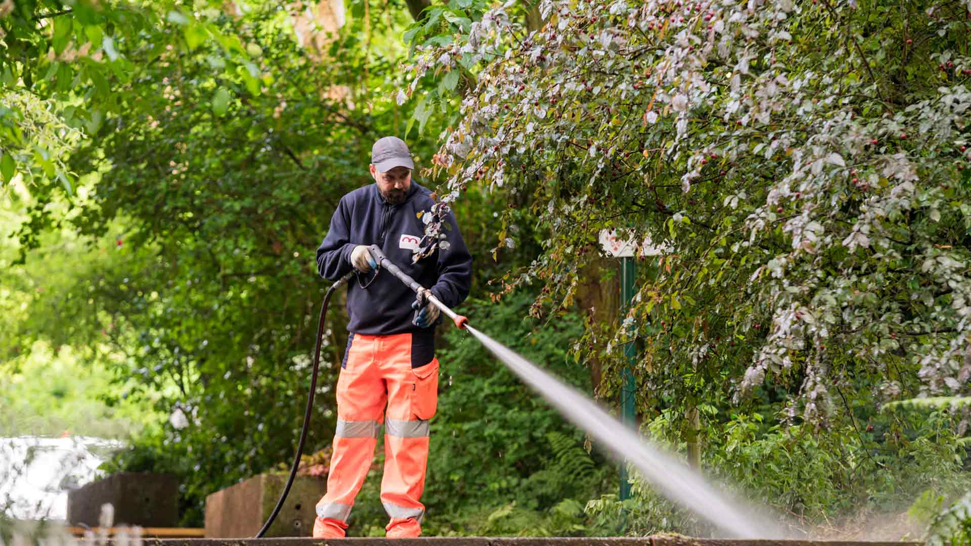 Chantier partagé au Parc zoologique et botanique