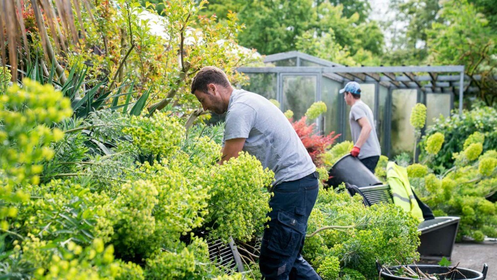 Lire l'article 'Un chantier partagé au Parc zoologique et botanique' | m2A le mag – Mulhouse Alsace Agglomération
