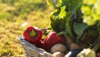 Lire l'article 'Concours « Soyons Food ! Les fermes de demain » : découvrez les lauréats' | m2A le mag – Mulhouse Alsace Agglomération