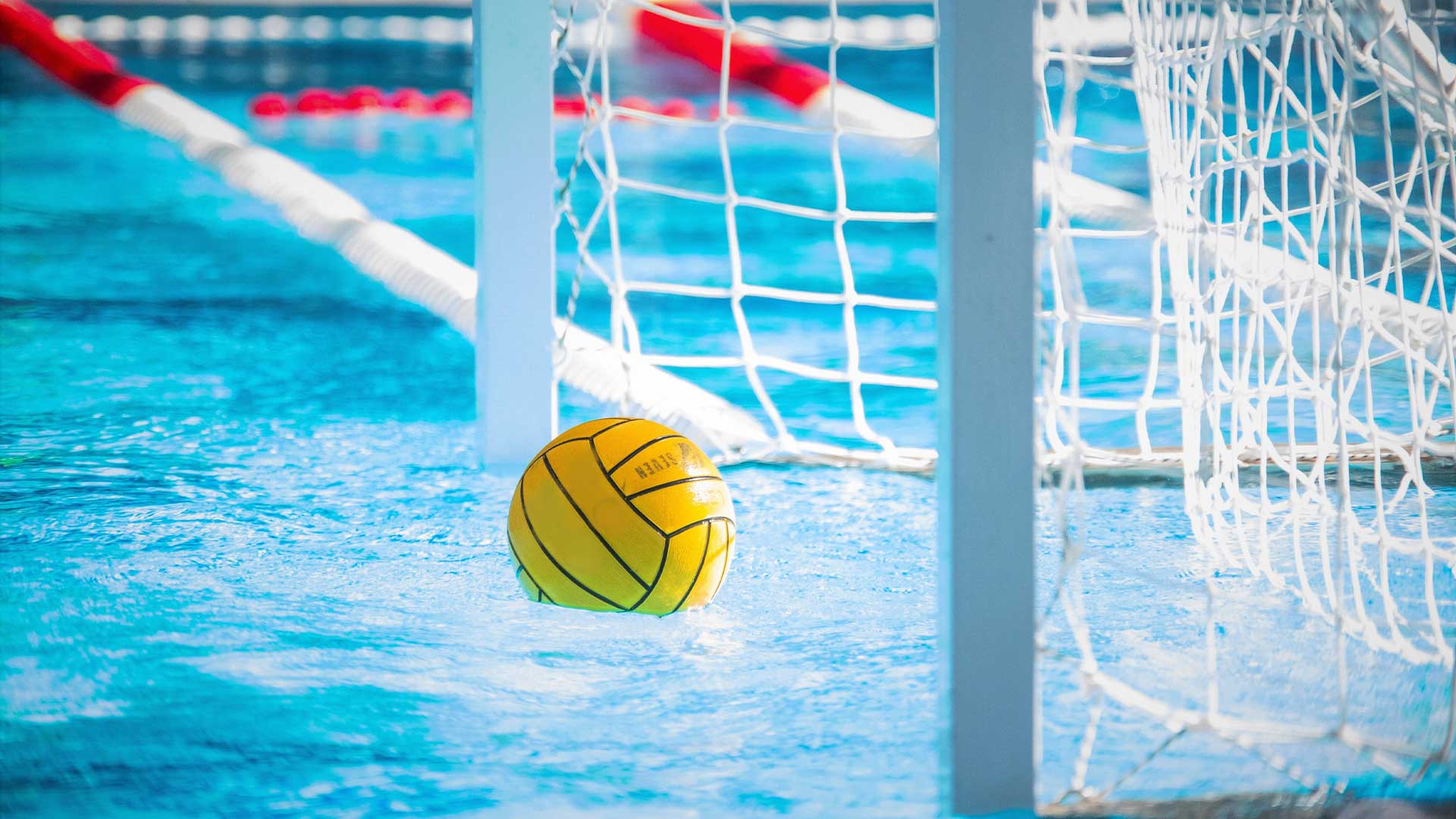 Balle de water-polo dans une piscine
