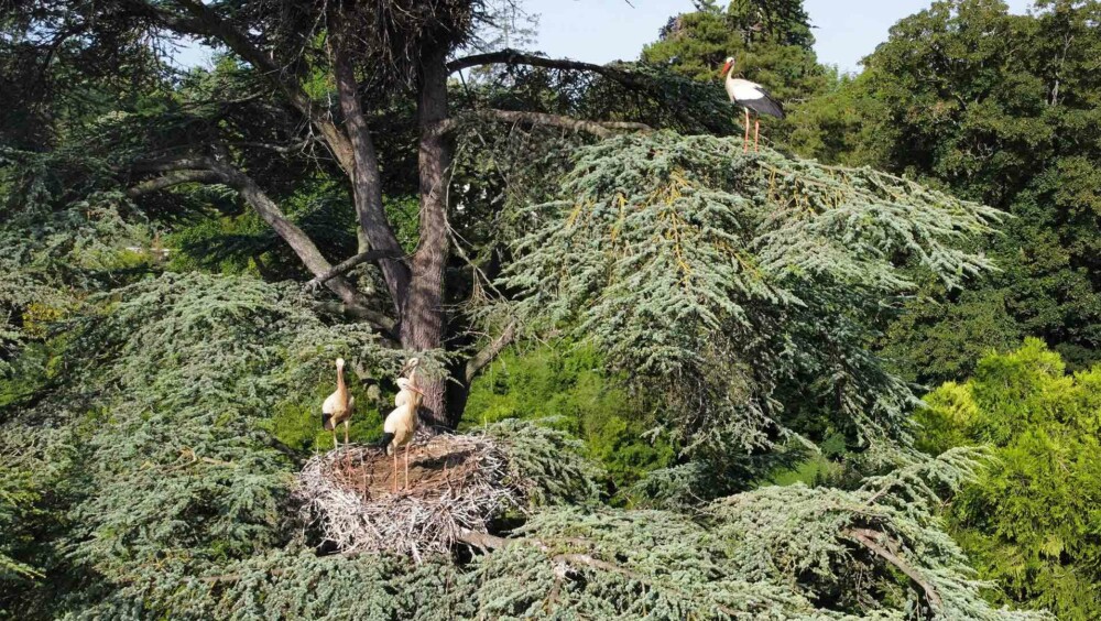 Lire l'article 'Le Parc Zoologique & Botanique labellisé « Refuge LPO »' | m2A le mag – Mulhouse Alsace Agglomération