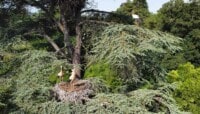 Lire l'article 'Le Parc Zoologique & Botanique labellisé « Refuge LPO »' | m2A le mag – Mulhouse Alsace Agglomération