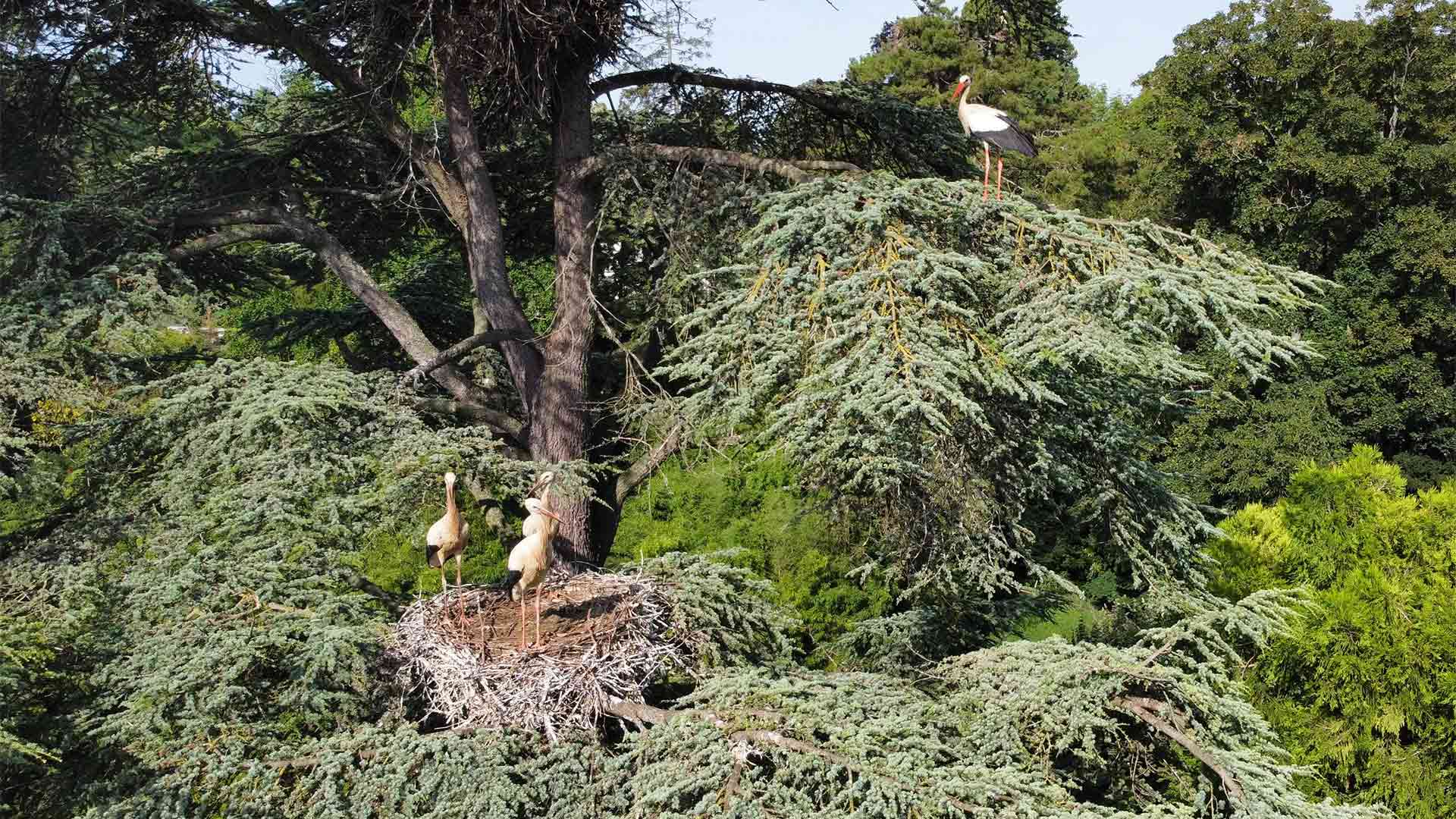 Le Parc Zoologique & Botanique labellisé « Refuge LPO »