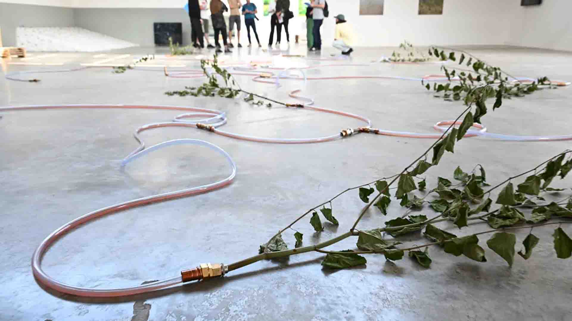 Exposition "Déborder la rivière" à la Kunsthalle à Mulhouse