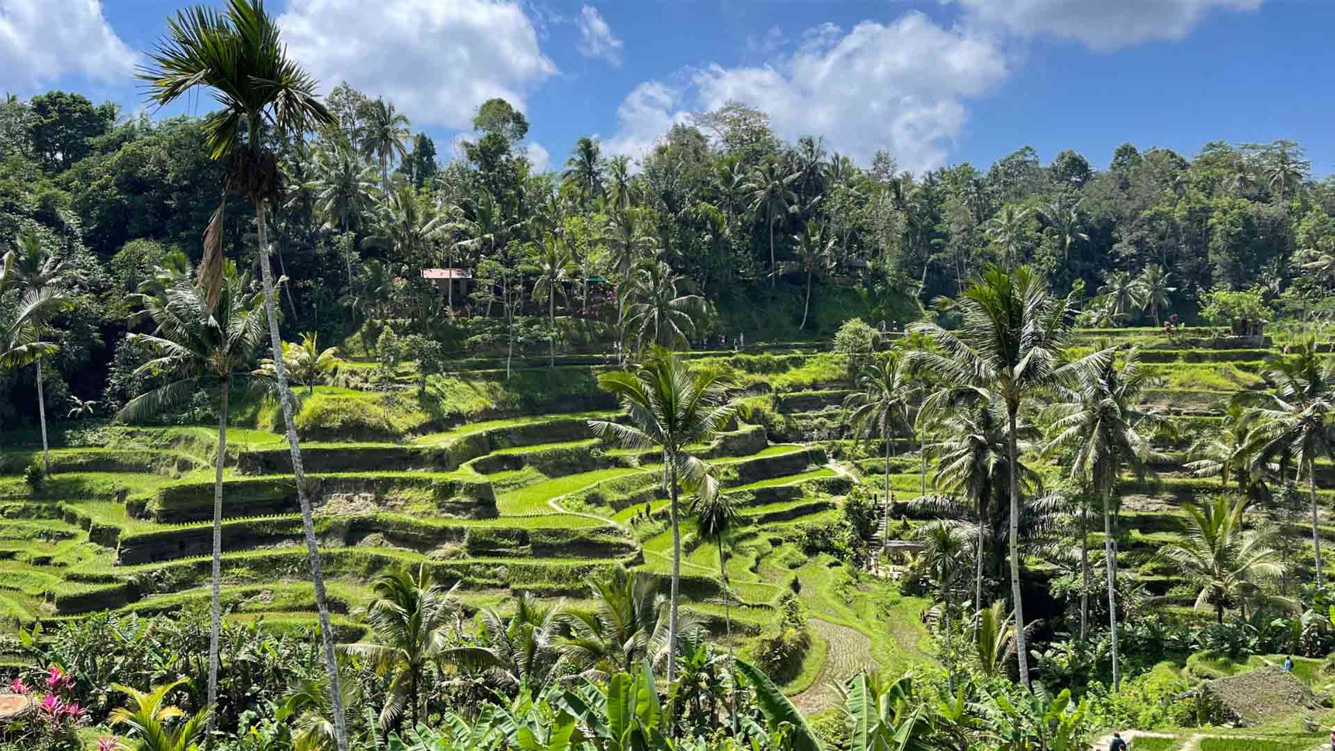 Bali