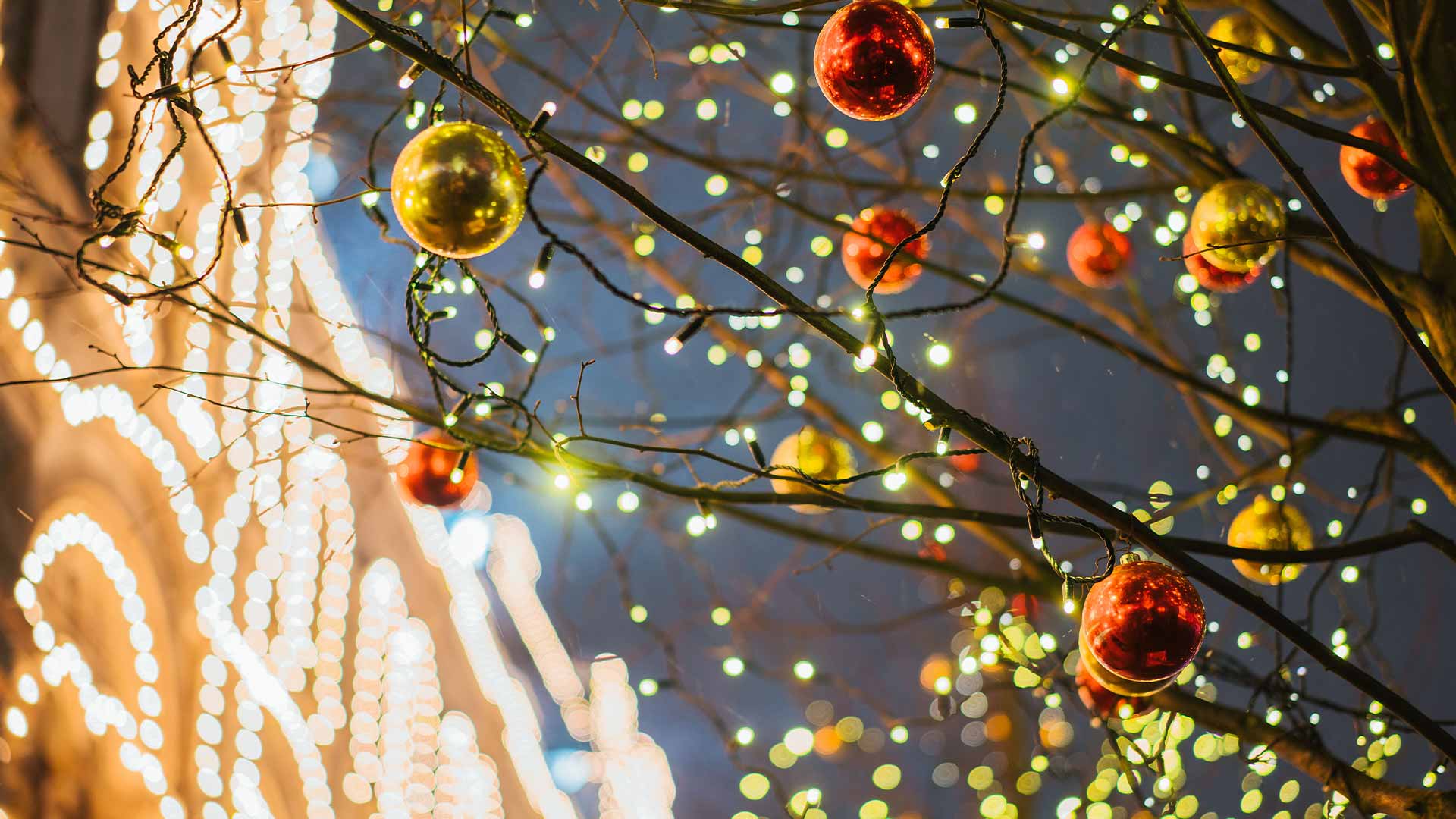 Illuminations de Noël