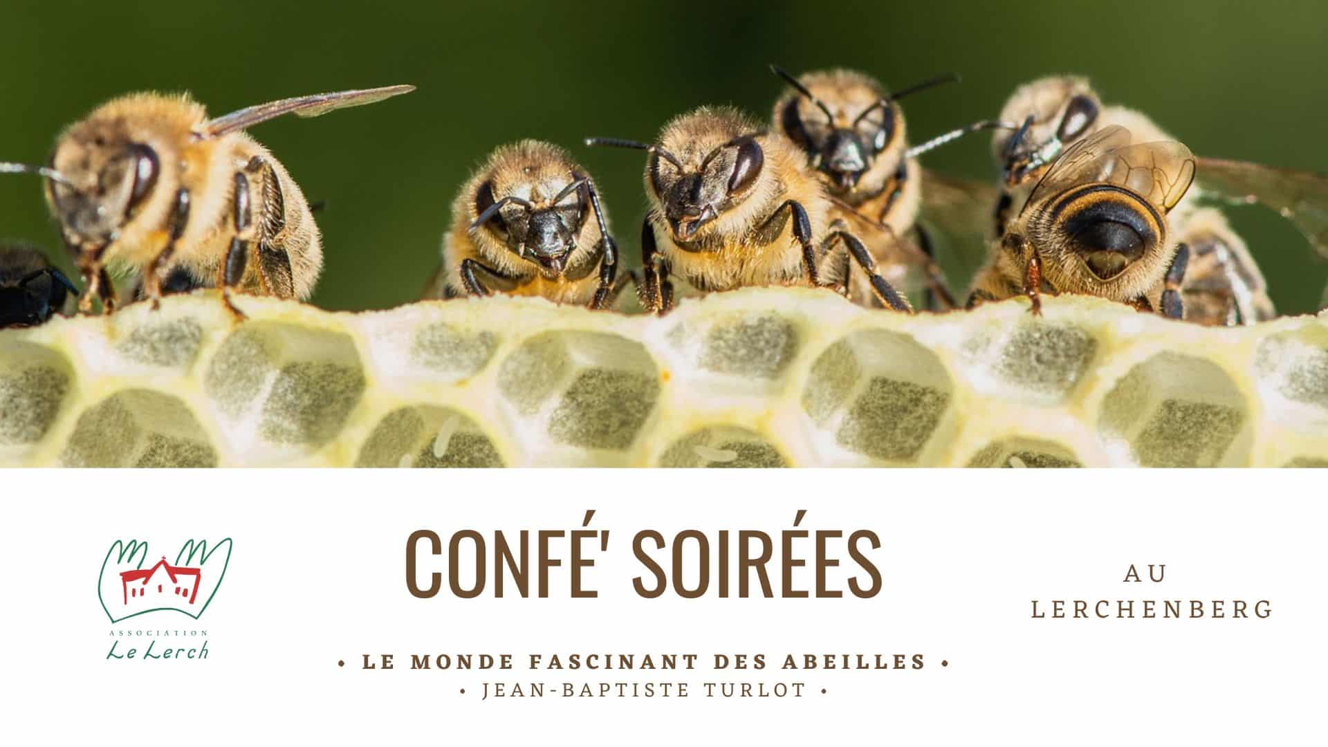"Confé' Soirées" au Lerchenberg à Mulhouse : Le monde fascinant des abeilles