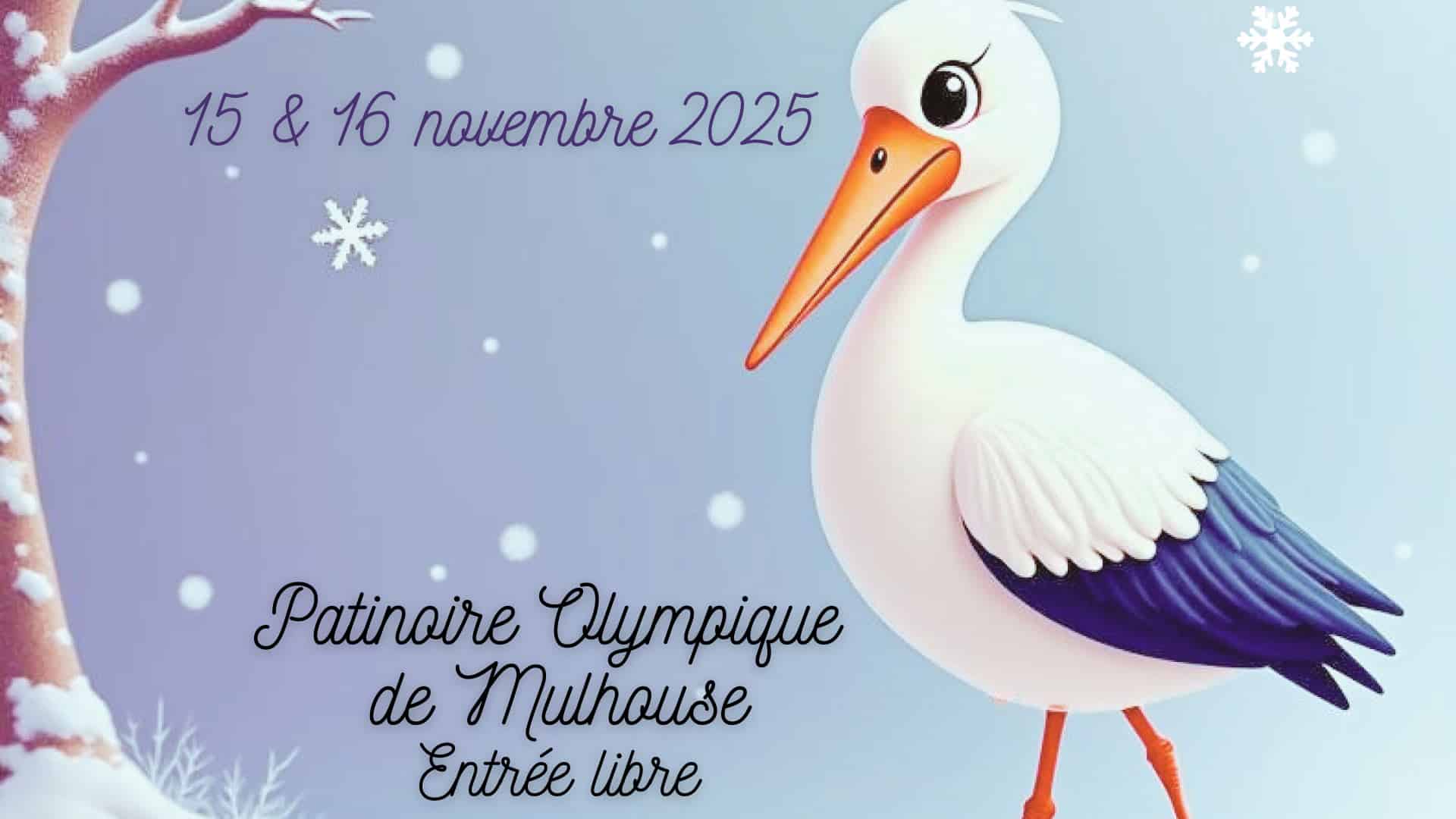 Patinage artistique : Coupe de la cigogne à la Patinoire olympique