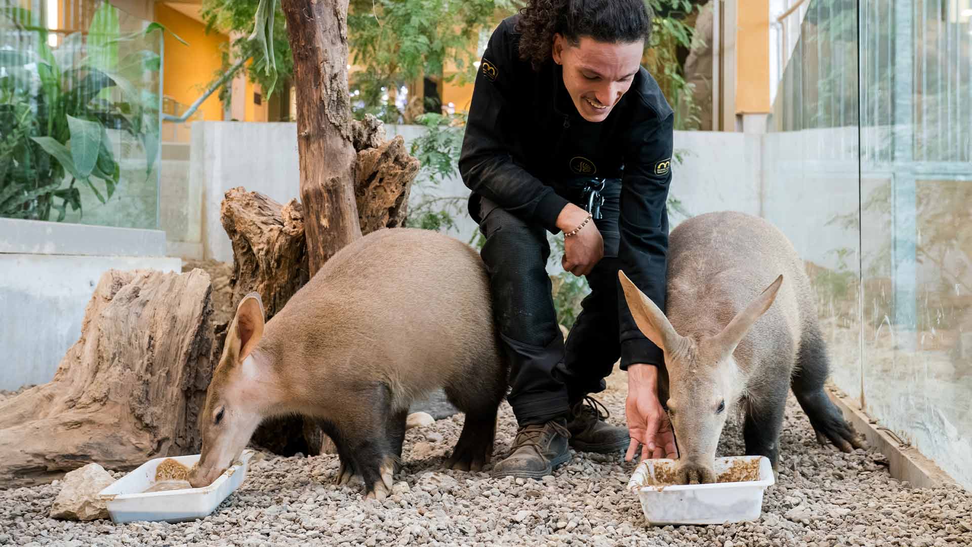 Enzo Monterosso, soigneur animalier au Parc Zoologique & Botanique de Mulhouse