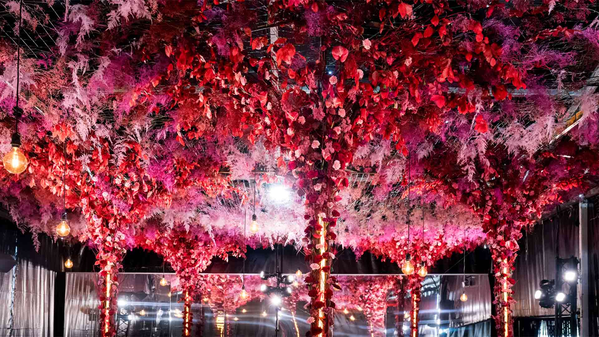 Folie'Flore 2025 - arbres fleuris