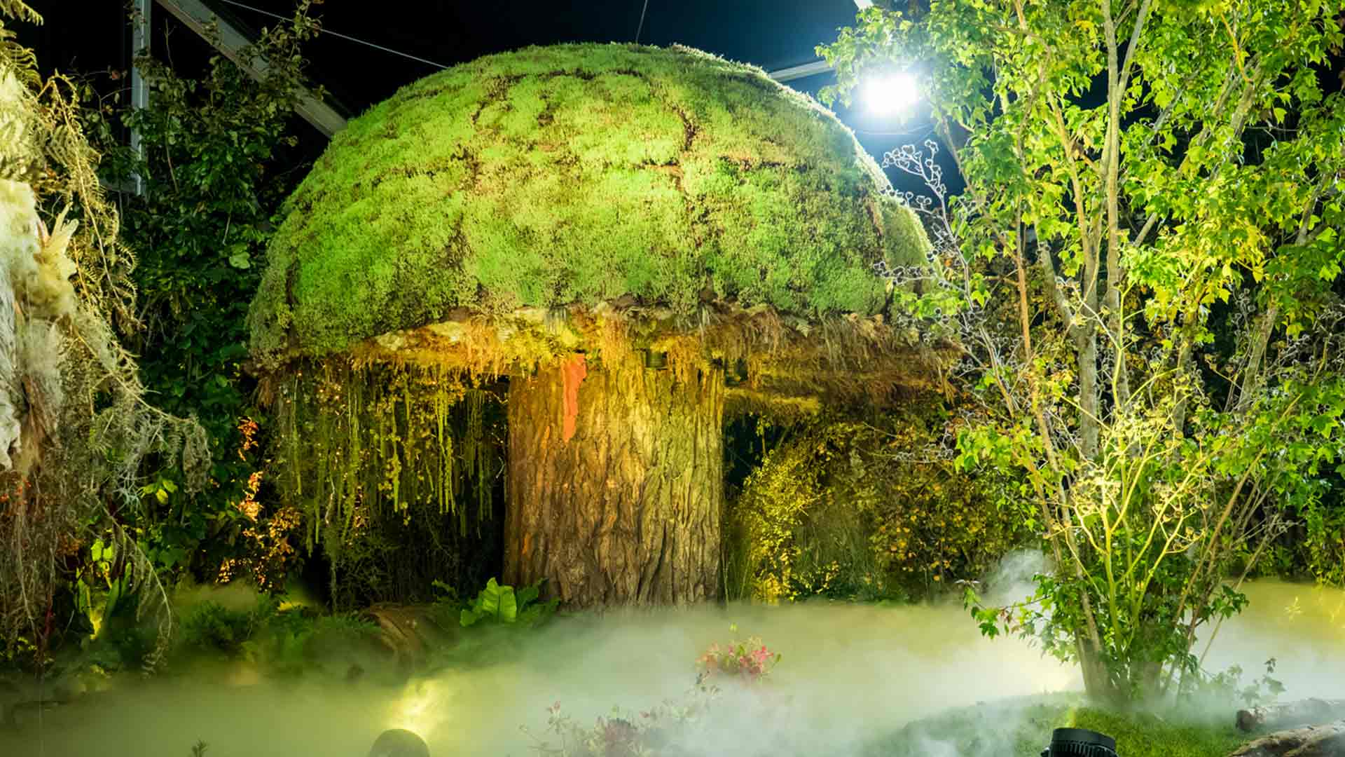 Folie'Flore 2025 - Champignon géant