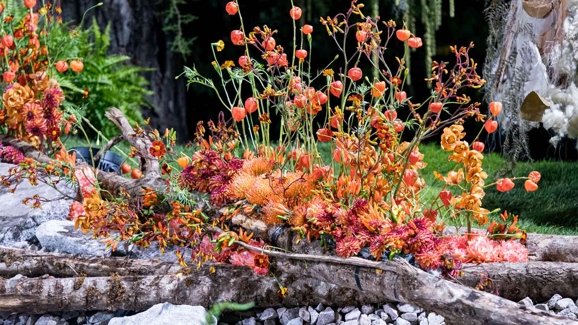 Folie-Flore 2025 - Fleurs