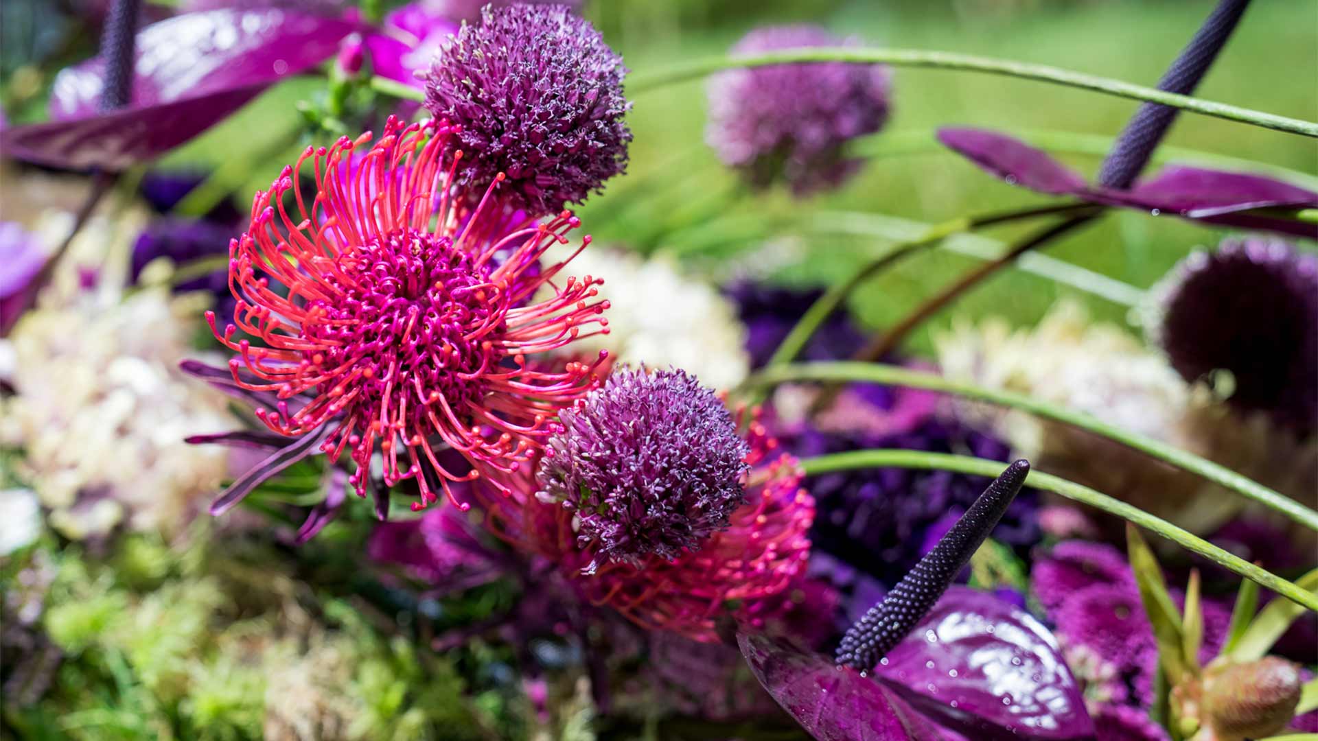 Folie-Flore 2025 - Fleurs