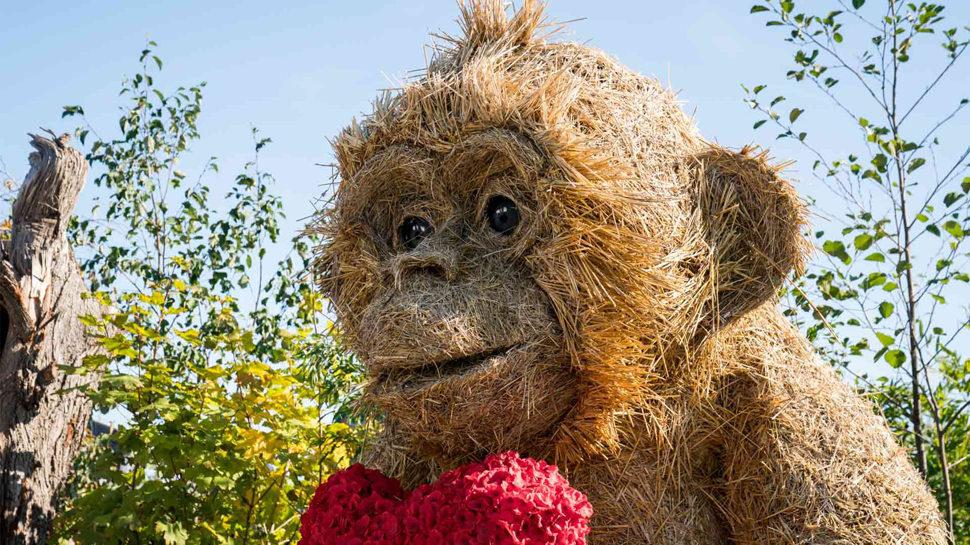 Folie-Flore 2025 - Singe géant