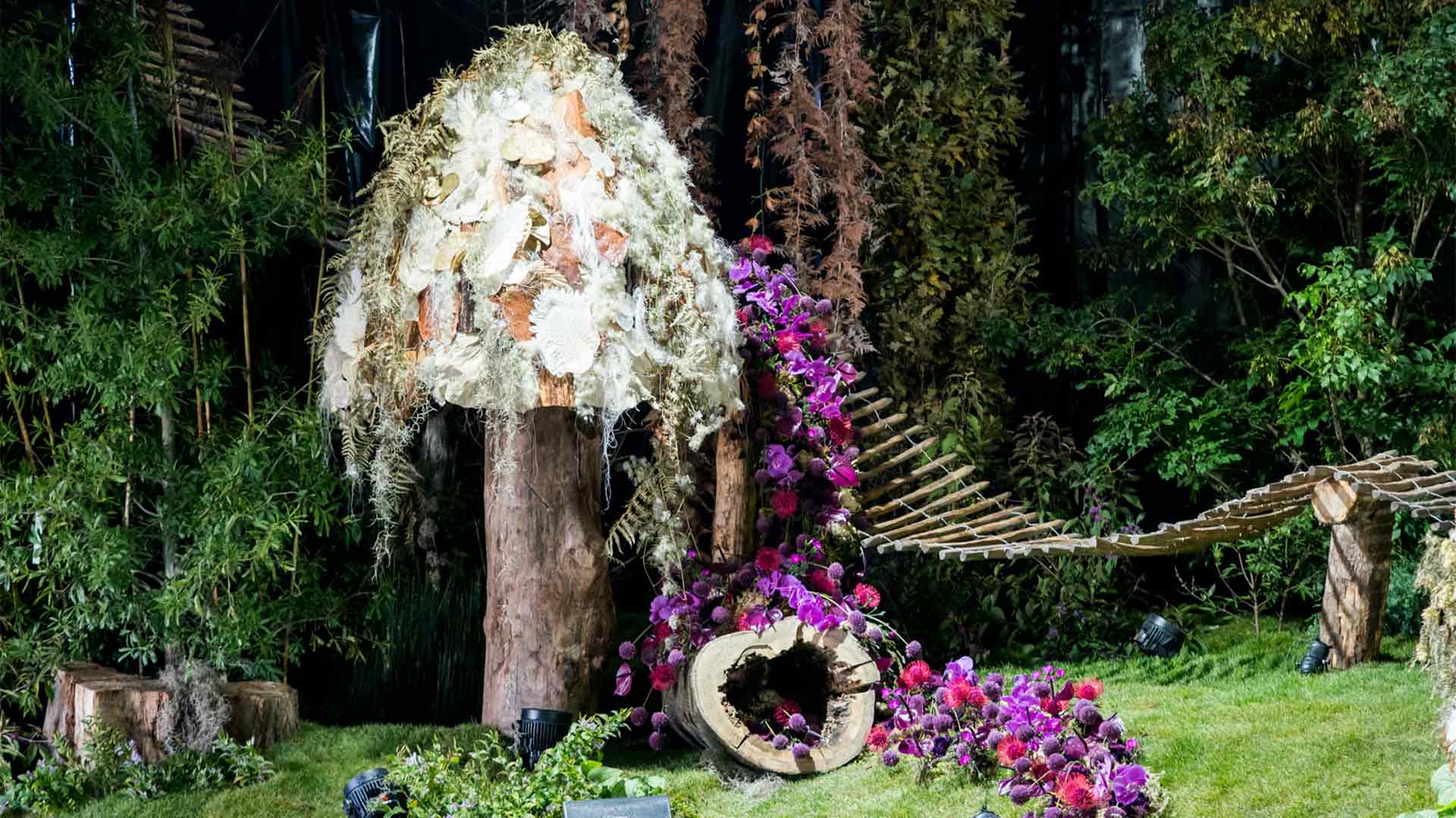Folie-Flore 2025 - Champignon