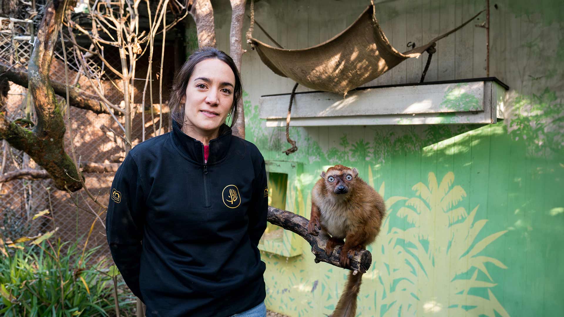 Charlotte, au cœur de la sauvegarde des lémurs aux yeux turquoise