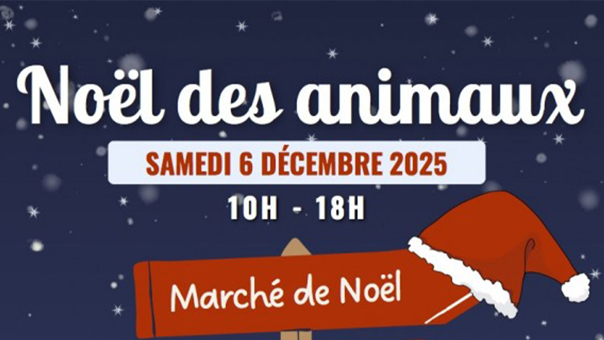 Le Noël des animaux à la SPA de Mulhouse Haute-Alsace