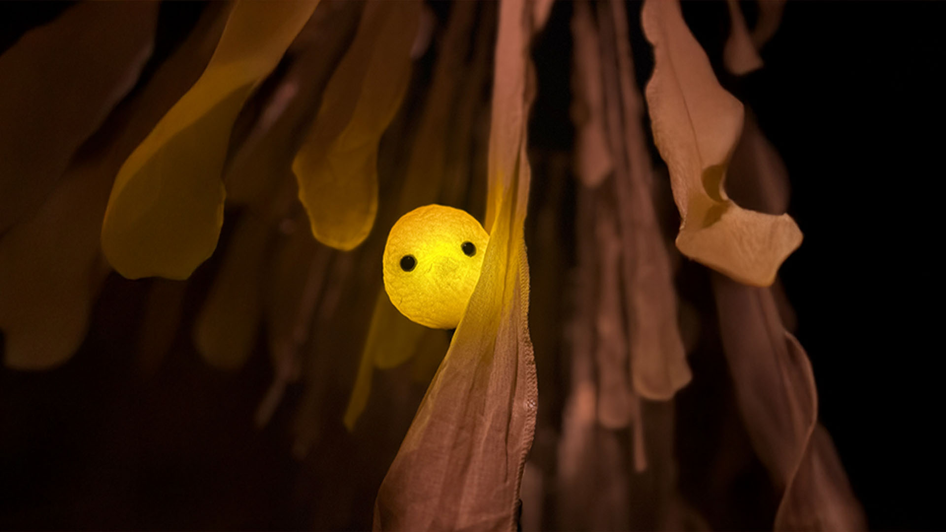 Festival Momix 2026 : "(é)Mouvoir"