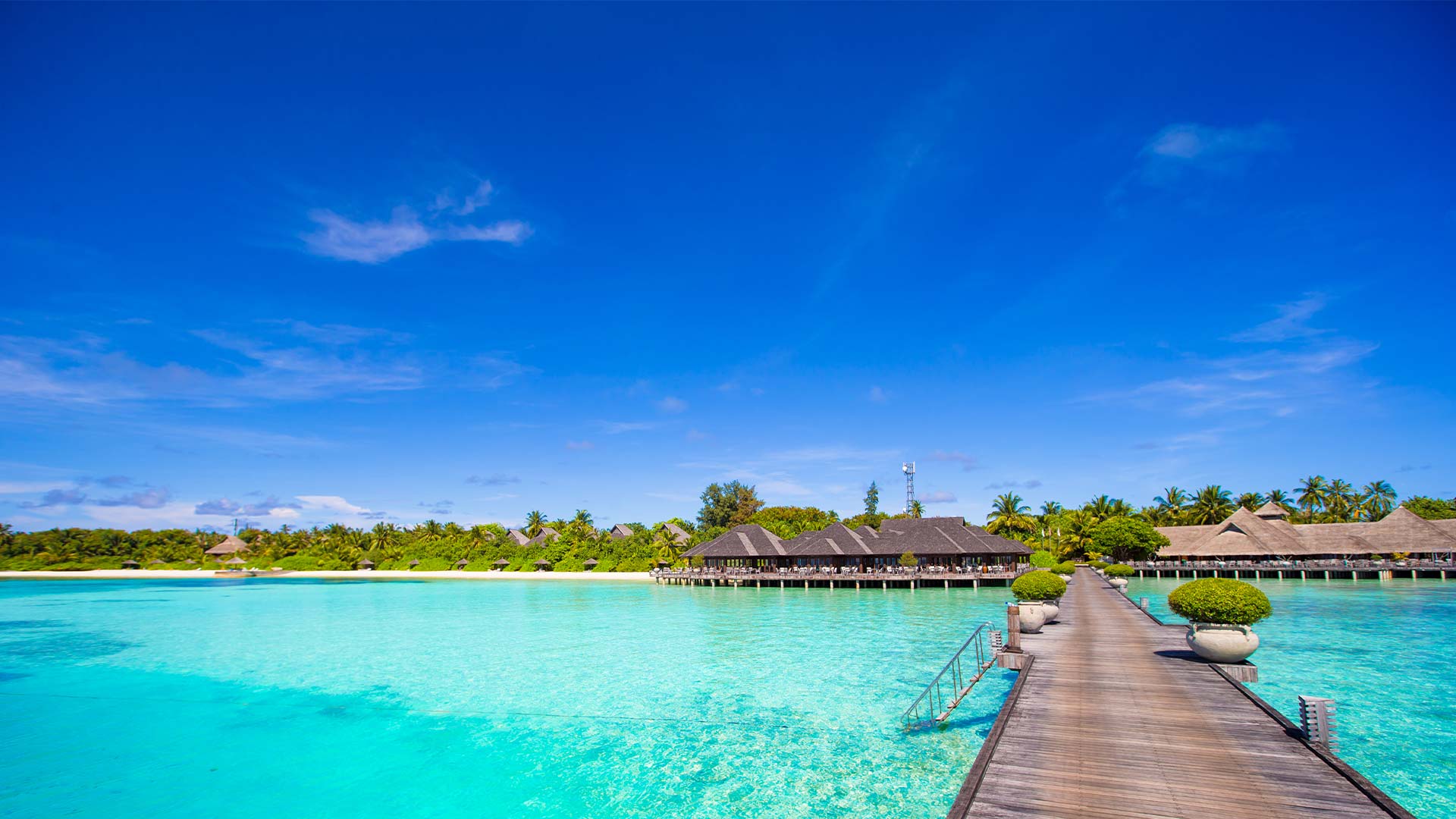 Plage tropicale aux Maldives