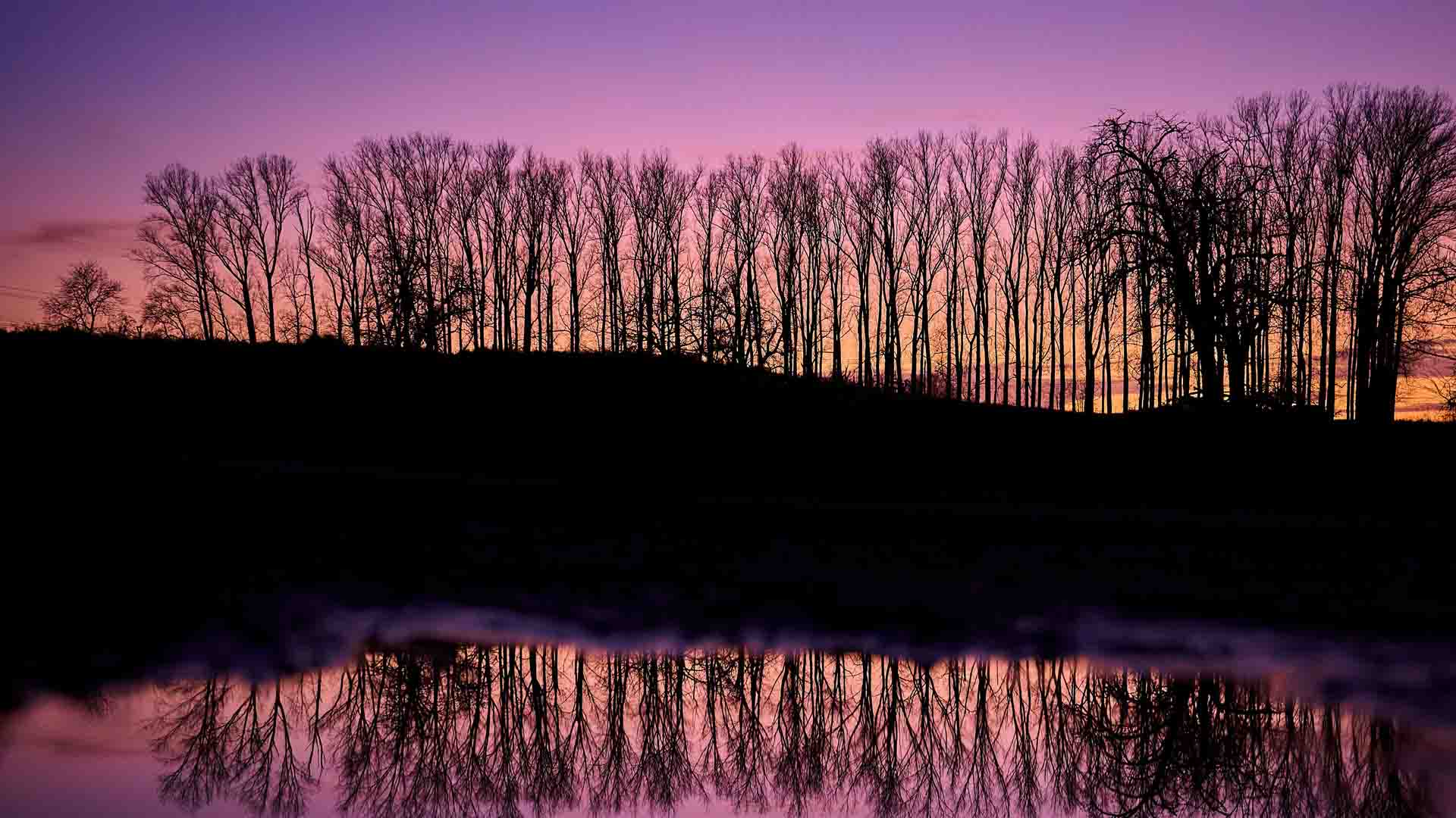 Concert symphonique "Reflets symphoniques" à la Filature à Mulhouse