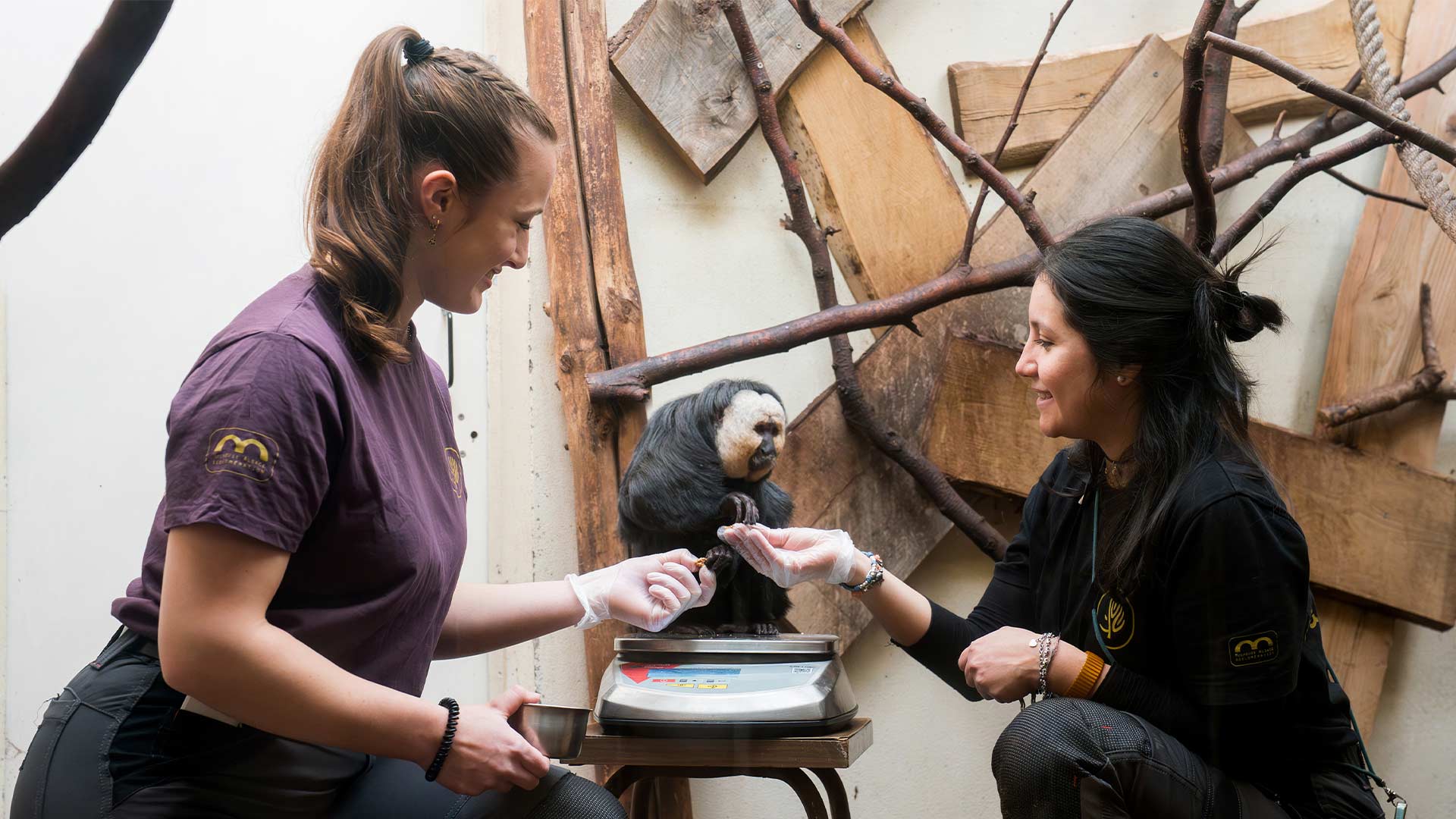 Justine et Dayanna, soigneuses des primates au Parc Zoologique & Botanique de Mulhouse